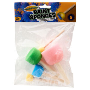 5 Paint Sponges