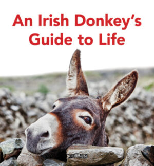 Irish Donkey’s Guide to Life