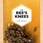 Bees