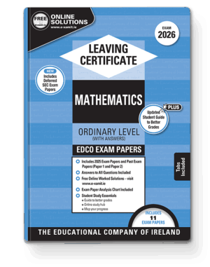 leaving certificate mathematics ordinary level exam papers